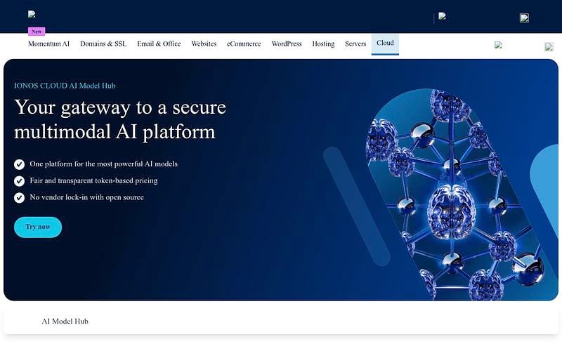 Screenshot of IONOS AI Model Hub webpage