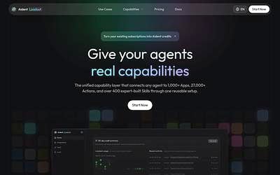 Screenshot of Aident Loadout webpage