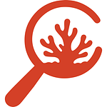 Coral Bricks icon
