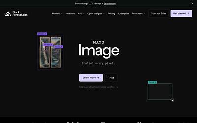 Screenshot of Black Forest Labs webpage