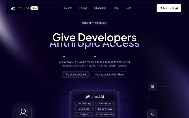 Screenshot of LiteLLM webpage