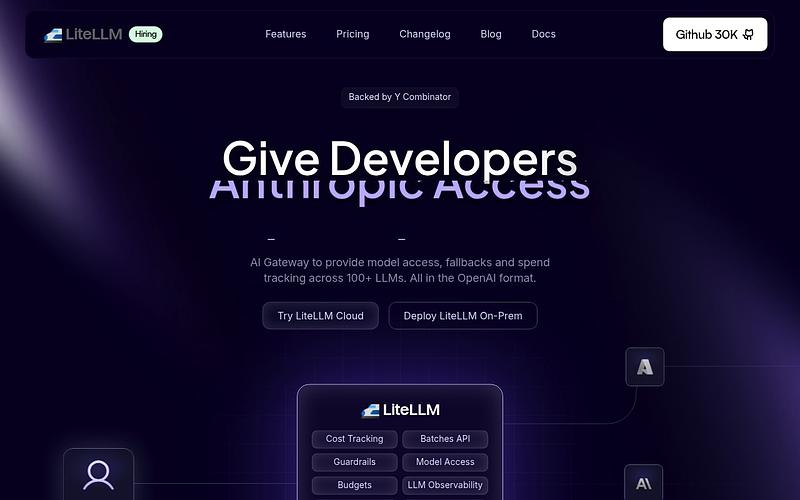Screenshot of LiteLLM webpage